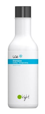 Ice cooling and invigorating shampoo