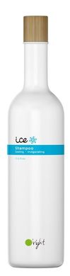 Ice cooling and invigorating shampoo